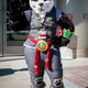 Illustration for article titled Glorious video game cosplay from this weekends BlizzCon